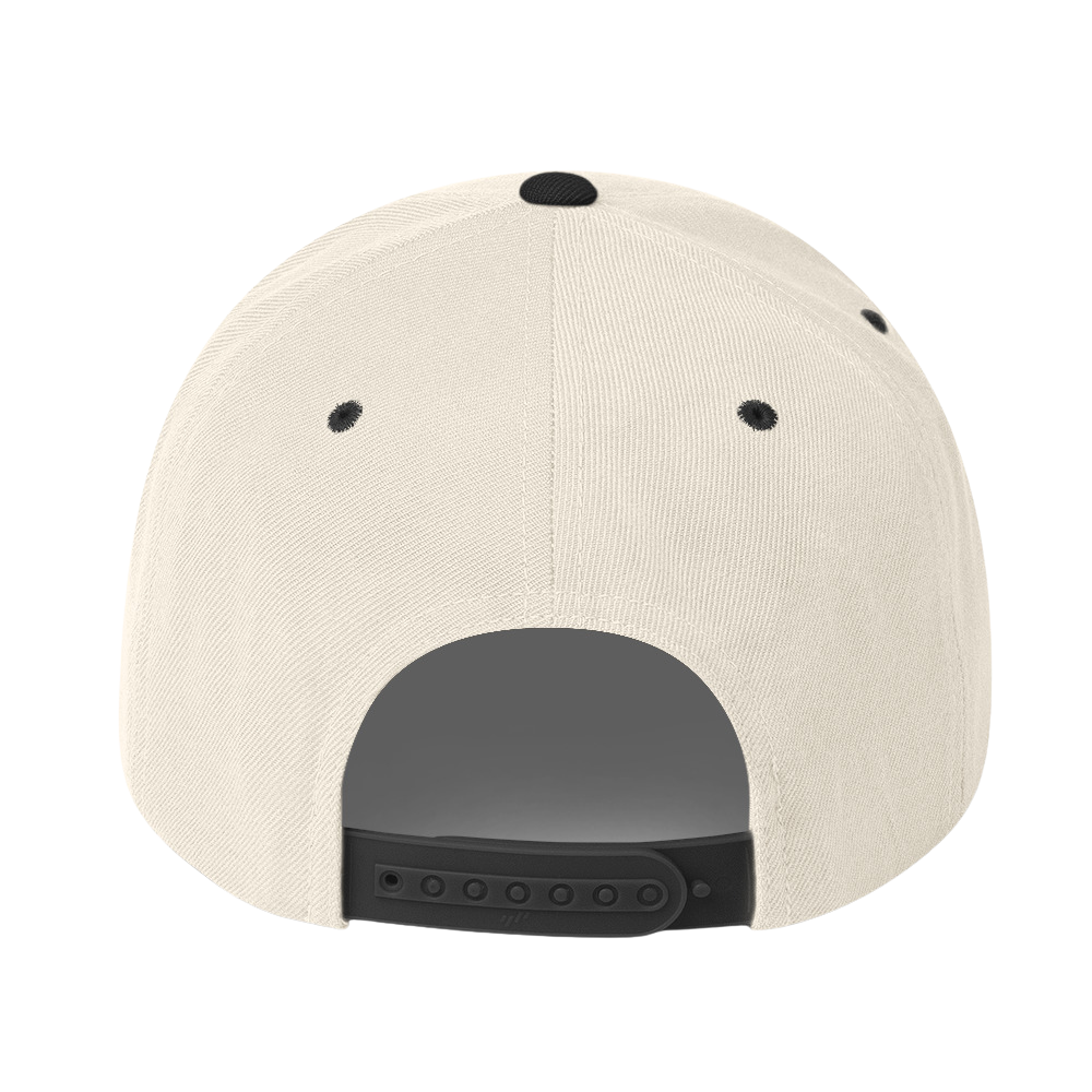 Divine Snapback | Faithful Hat